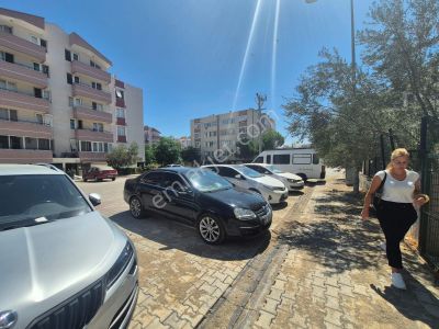 İşyeri-Dükkan & Mağaza