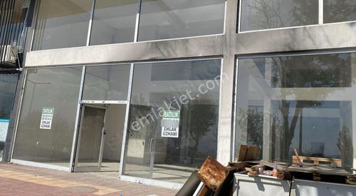 İşyeri-Dükkan & Mağaza