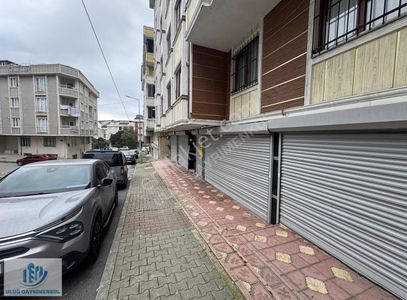 İşyeri-Dükkan & Mağaza