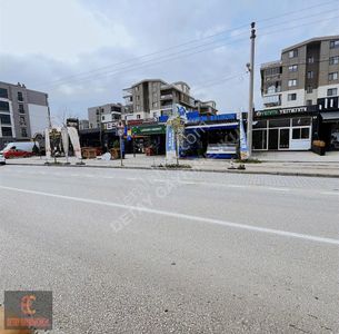 İşyeri-Dükkan & Mağaza