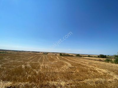 Tekirdağ Saray Kurtdere Mahallesinde 280m2 Sahibinden Hisseli Tarla