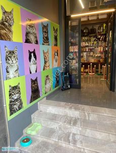 İşyeri-Dükkan & Mağaza