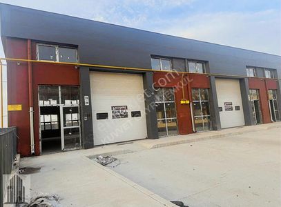 İşyeri-Dükkan & Mağaza