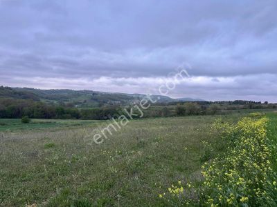 Kd 8.kocaeli İzmit Düğmeciler Köyünde 1.348 M² Tarla Satılıktır