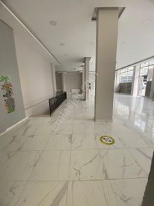 İşyeri-Dükkan & Mağaza