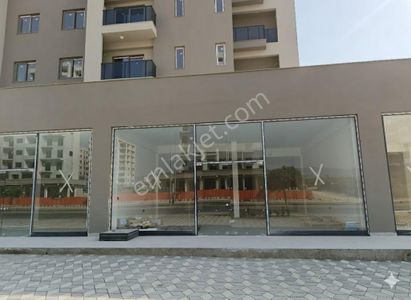 İşyeri-Dükkan & Mağaza