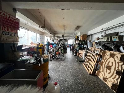 İşyeri-Dükkan & Mağaza