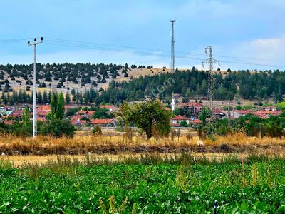 Kütahya Emet Örencik'de Köy Otoyol Yanı 1.463 M2 Bakımlı Tarla. Açıklamayı Okuyarak Arayınız.