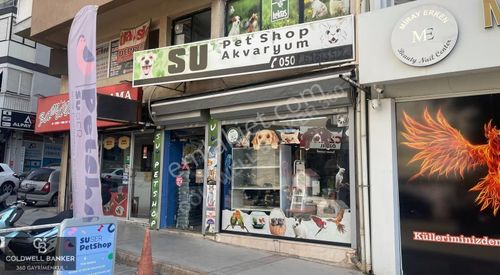 İşyeri-Dükkan & Mağaza