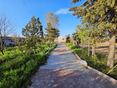 Arsa-Konut+Ticaret Alanı