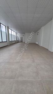 İşyeri-Dükkan & Mağaza