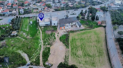 İşyeri-Dükkan & Mağaza