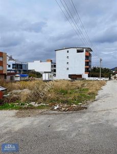 Arsa-Depo, Antrepo İzinli