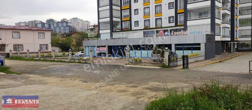 İşyeri-Dükkan & Mağaza