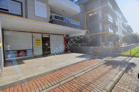 İşyeri-Dükkan & Mağaza