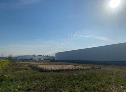 Arsa-Depo, Antrepo İzinli