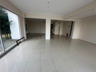 İşyeri-Dükkan & Mağaza