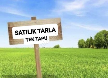 Arsa-Tarla