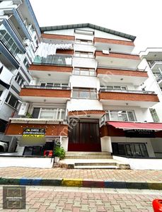 İşyeri-Dükkan & Mağaza