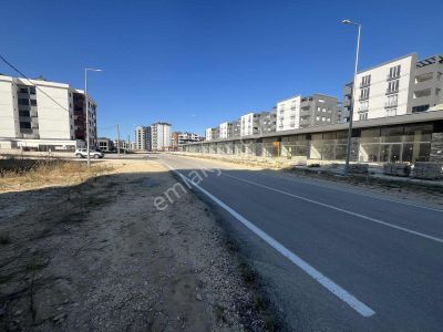 Arsa-Konut+Ticaret Alanı