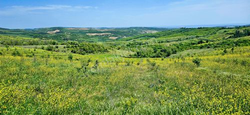 Takas+nakit Hayelinizdeki Çiftliği Kurmak İçin Haŕika Fırsat Arazi. 2.597 M2 Mera Cephelı