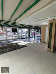 İşyeri-Dükkan & Mağaza