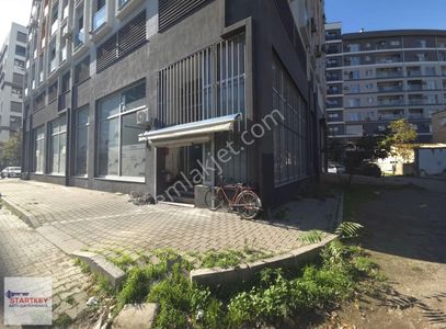 İşyeri-Dükkan & Mağaza