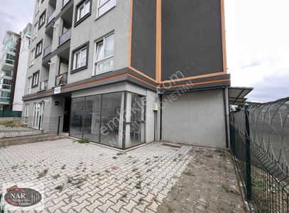 İşyeri-Dükkan & Mağaza