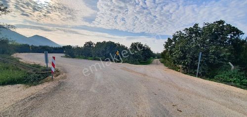 Bursa Nilüfer Fadıllı'da Tek Tapu Yola Cephe 6900m2 Arazi