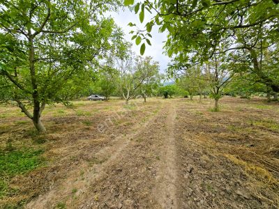 Bursa Nilüfer Fadıllı'da 1500m2 Tek Tapu Arazi