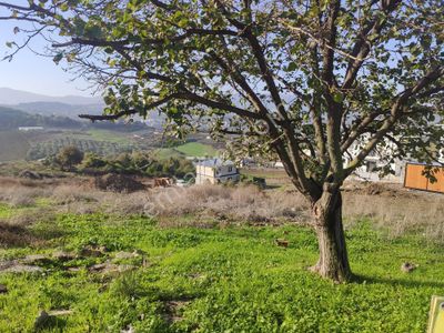 Yalova Akköy Şahin Tepesi'nde Satılık 361m² Fırsat Arsa