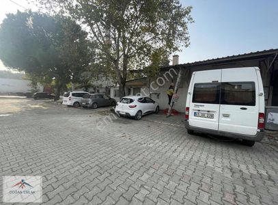 İşyeri-Dükkan & Mağaza