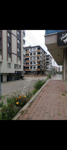 İşyeri-Dükkan & Mağaza