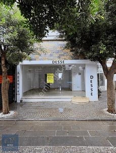 İşyeri-Dükkan & Mağaza