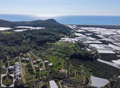 Arsa-Turizm İmarlı