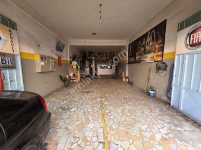 İşyeri-Dükkan & Mağaza