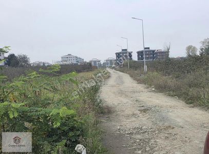 Arsa-Ticari İmarlı