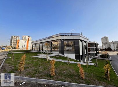 İşyeri-Dükkan & Mağaza