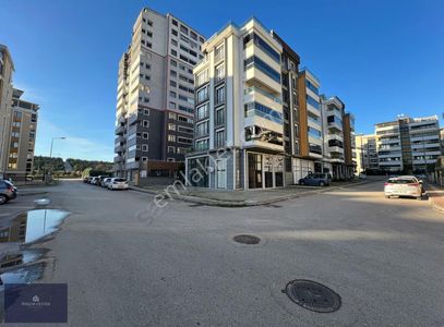 İşyeri-Dükkan & Mağaza