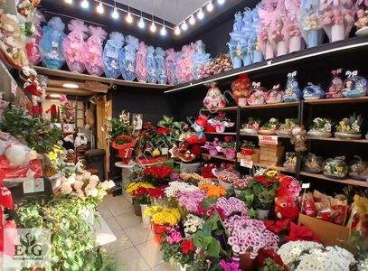 İşyeri-Dükkan & Mağaza