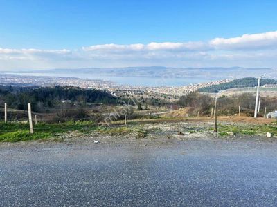 Arsa-Konut+Ticaret Alanı