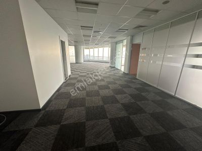 İşyeri-Plaza Katı