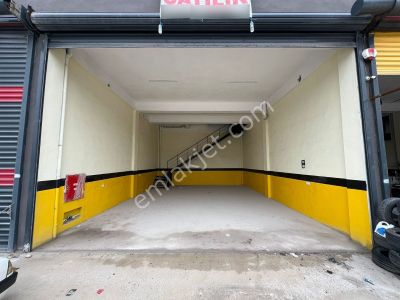 İşyeri-Dükkan & Mağaza