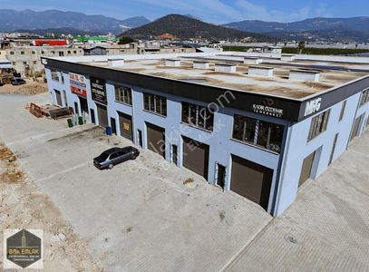 İşyeri-Dükkan & Mağaza