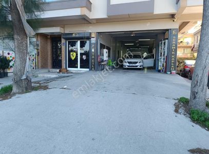 İşyeri-Dükkan & Mağaza