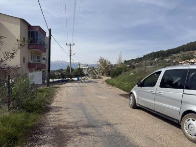 Deniz Manzaralı Mahalle Merkezinde Zeytin Bahçesi