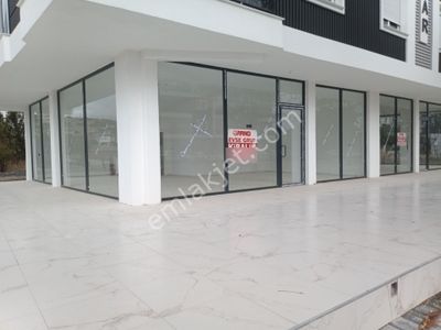 İşyeri-Dükkan & Mağaza