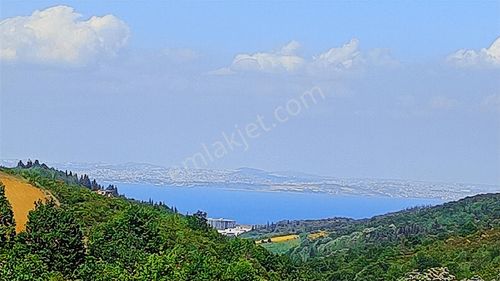 Yalova Termal Akköy De Deniz Manzaralı 2550 M2 Satılık Arazi