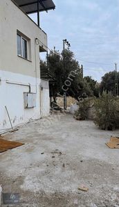 İşyeri-Dükkan & Mağaza