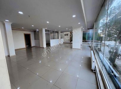 İşyeri-Dükkan & Mağaza